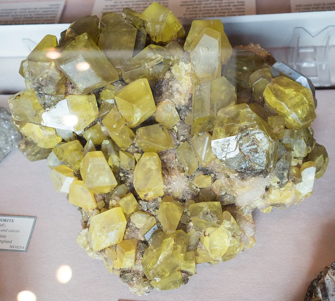 Klynge af gule svovlkrystaller på et museum.